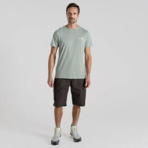 Web-700x700-CMT994-T52-LICHENGREEN-03-2