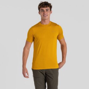 Web-version-CMT1011-L76-WarblerYellow-01
