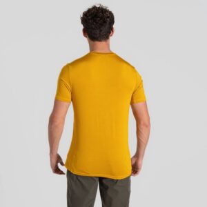 Web-version-CMT1011-L76-WarblerYellow-02